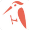 啄木鸟管理平台
