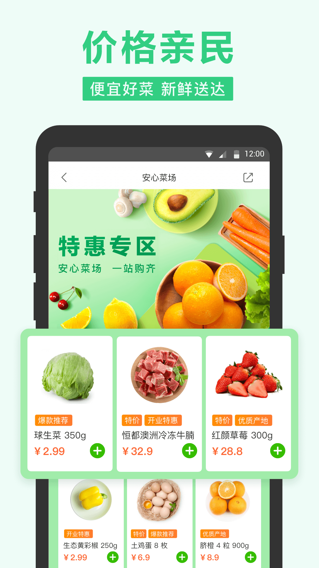网上抢菜神器软件app v1.0