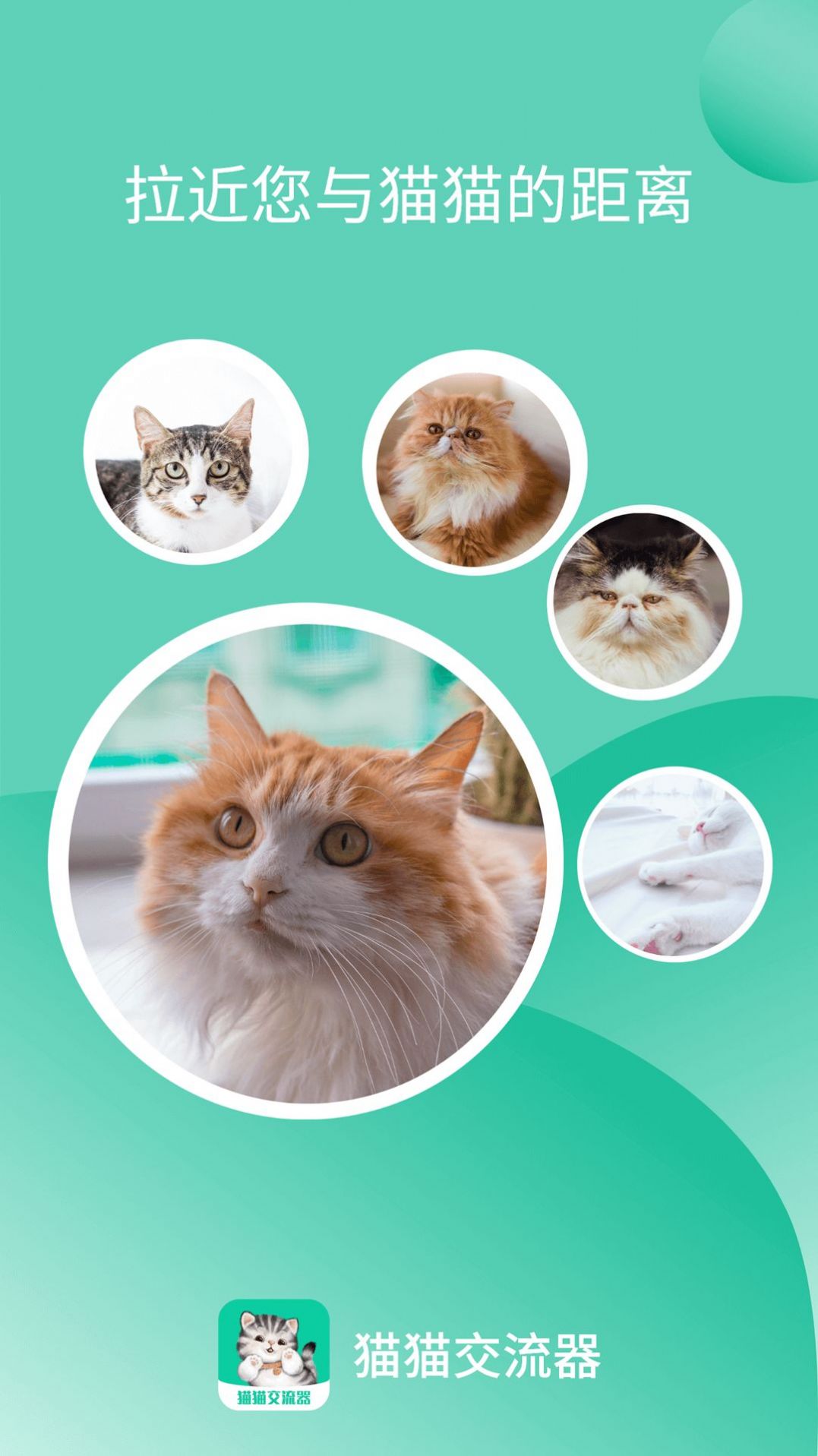 猫猫交流器软件app下载图片1
