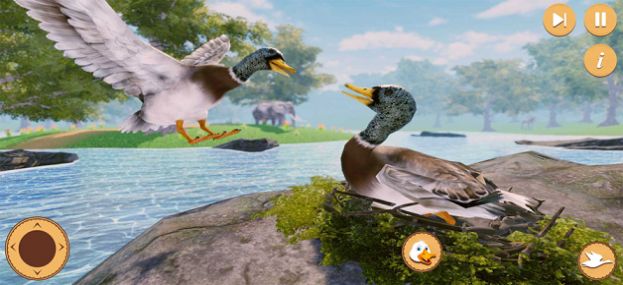 虚拟的鸭生活模拟器游戏ios苹果版 v1.0