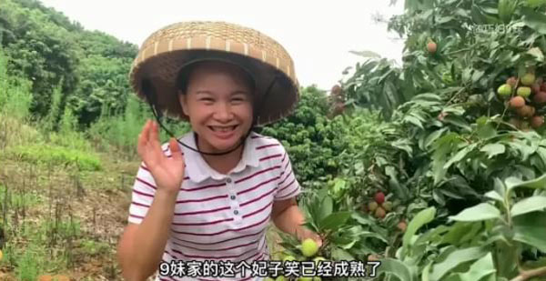 网红巧妇9妹直播带货被网友群嘲