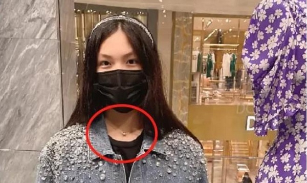 李湘女儿王诗龄太豪