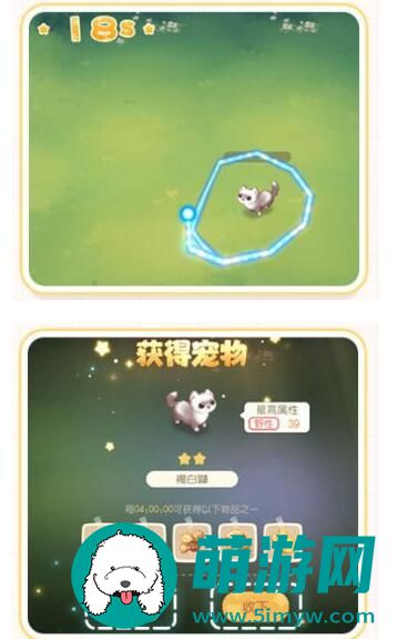 奥比岛梦想国度宠物怎么抓
