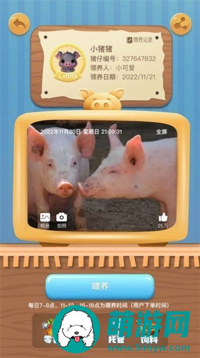 福禄金猪安卓版安装下载v1.0.01