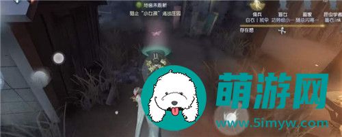第五人格不归林地窖刷新点在哪里