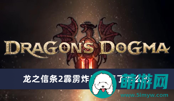 龙之信条2霹雳炸盾用掉了怎么办
