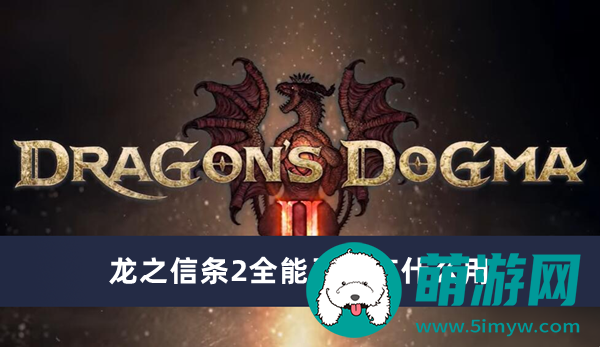 龙之信条2全能灵药有什么用