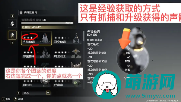 《鸣潮》鸣域快速升级攻略