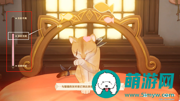 原神茸茸城堡大喵险第五天怎么过
