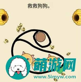 救救狗狗蜜蜂第四关攻略