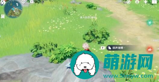 破破岛幻境海螺在哪