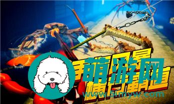 《梦幻模拟战》手游霸者线第二关帝王巴恩哈特挑战指南，征战帝国的战略智慧！