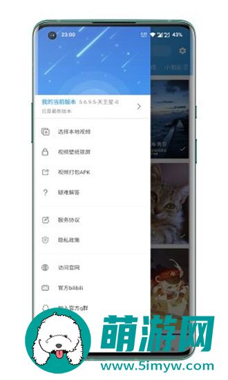 星空视频壁纸手机版