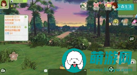 小森生活猫咪怎么领养