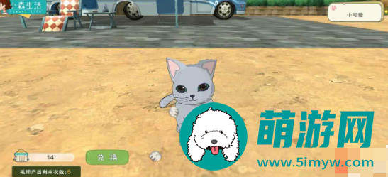 小森生活猫咪怎么领养
