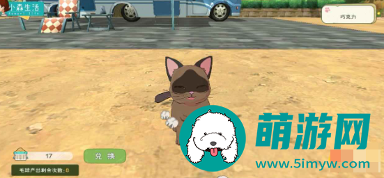 小森生活猫咪怎么领养