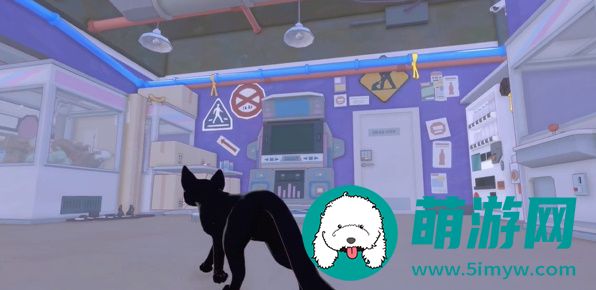 小猫咪大城市找到所有的鸭鸭任务攻略