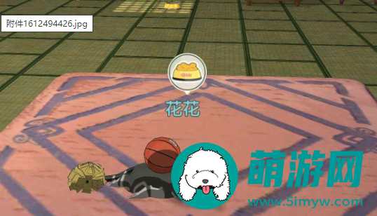 小森生活猫咪怎么领养