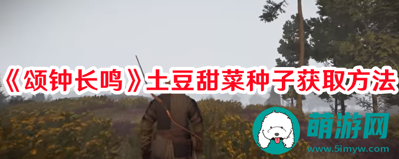 颂钟长鸣土豆甜菜种子怎么获取