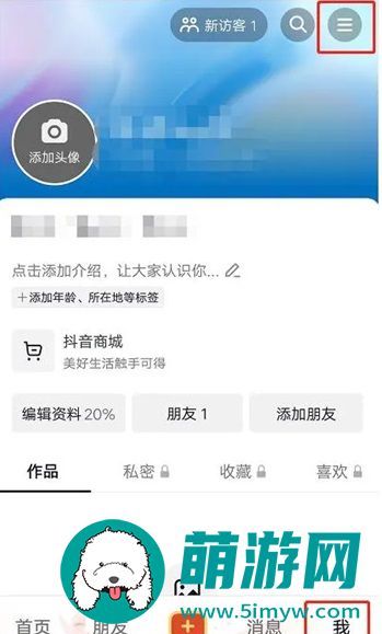 抖音月付是什么意思