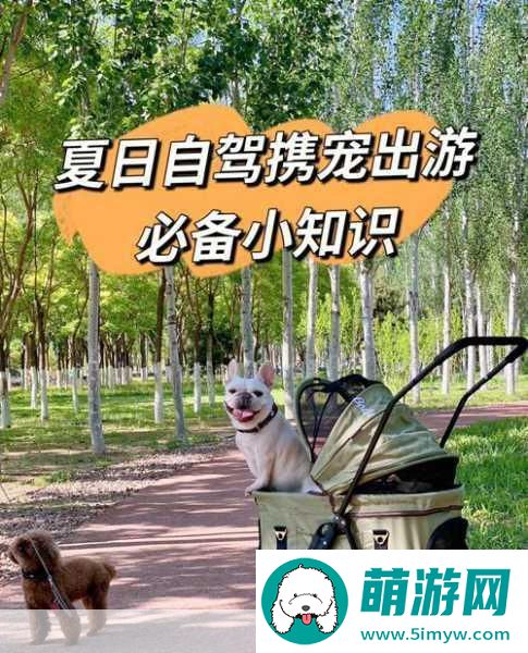 小汪汪携宠漫步新体验