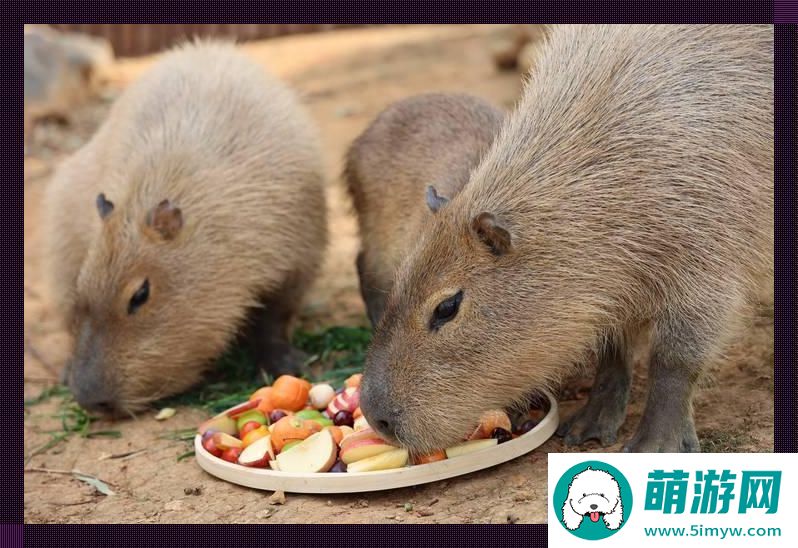 科技界腹黑大师兄