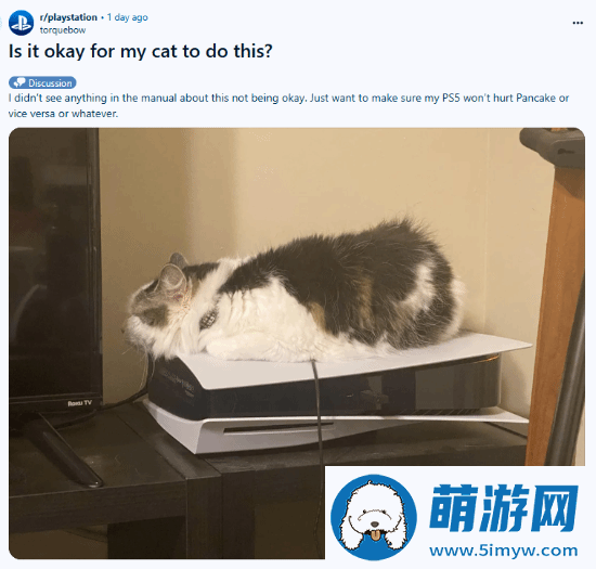 猫猫趴在PS5上不愿离开！玩家