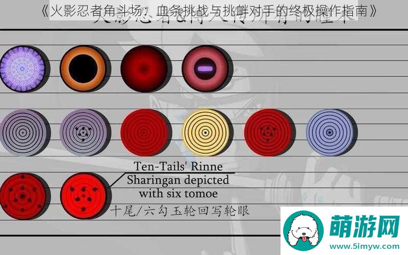火影忍者角斗场
