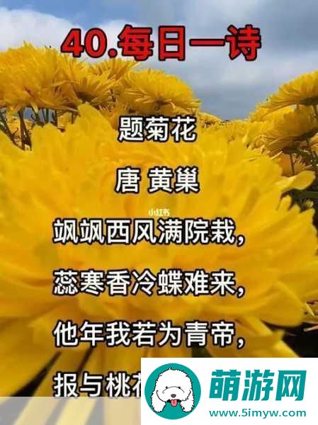 答错一题菊花放一支笔丁程鑫