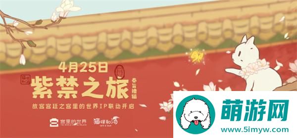 猫咪和汤官网入口在哪-猫咪和汤官网入口地址分享图一