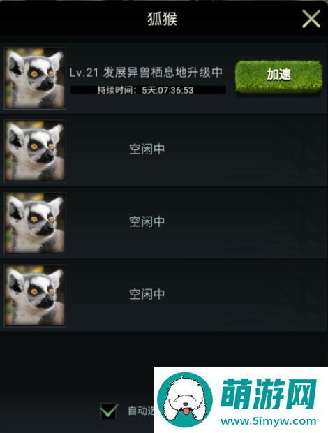 【丛林攻略】兽王领地小管家：狐猴详解