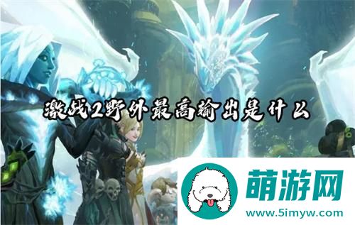 激战2野外最高输出是什么