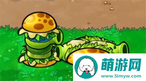 植物大战僵尸杂交版汉堡射手怎么用