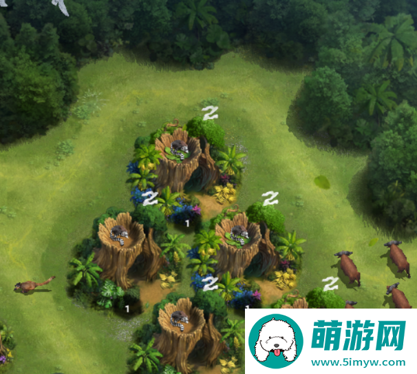 【丛林攻略】兽王领地小管家：狐猴详解