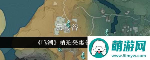 《鸣潮》植珀采集分布图一览
