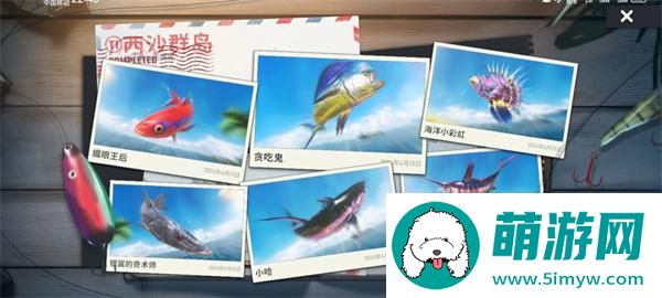 欢乐钓鱼大师最强鱼货长什么样-欢乐钓鱼大师最强鱼货介绍图三
