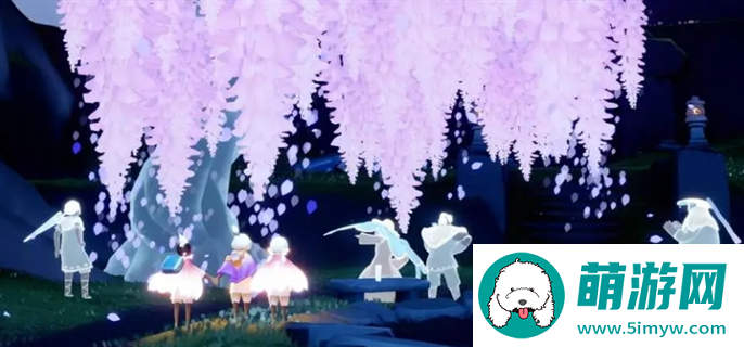 光遇花之日2024开始时间介绍图一