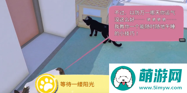《小猫咪大城市》快速午睡动作获取方法
