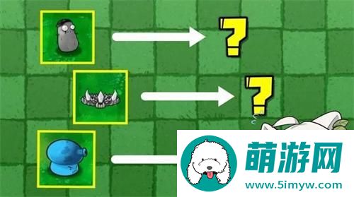 植物大战僵尸杂交版随机盲盒怎么玩