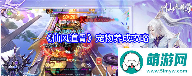 《仙风道骨》宠物养成攻略
