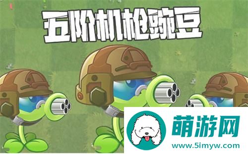 植物大战僵尸2机枪豌豆怎么培养