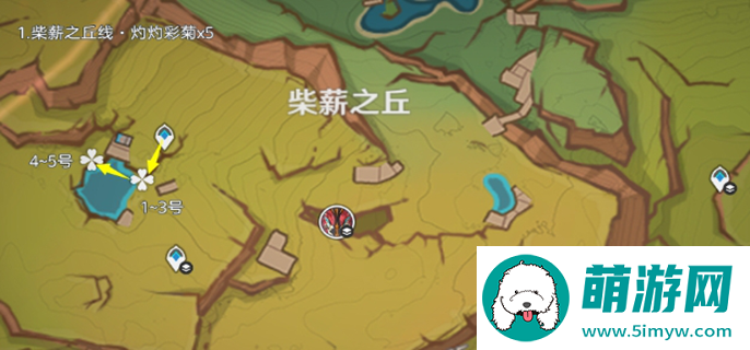 原神灼灼彩菊哪里多图一