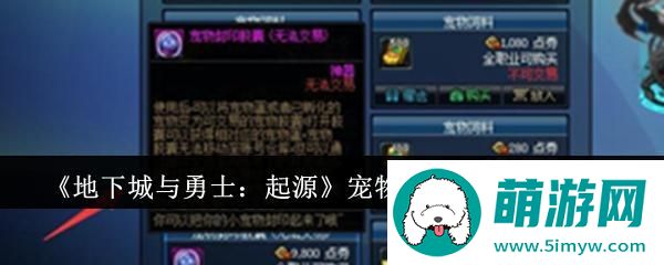 《地下城与勇士：起源》宠物封印胶囊使用方法