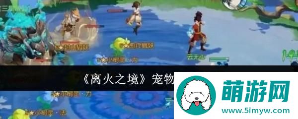 《离火之境》宠物选择建议
